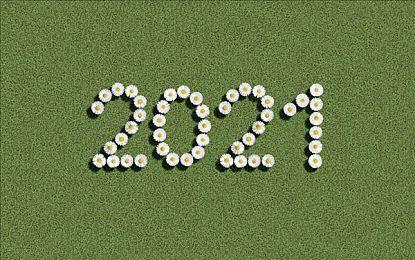 英伟达已向欧盟让步 确保540亿美元收购ARM获批