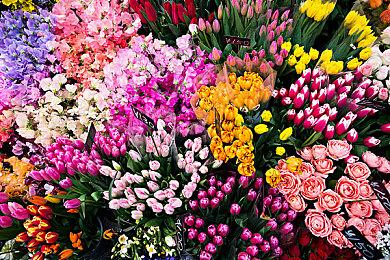 《明末：渊虚之羽》性感新截图 清凉女主爬梯