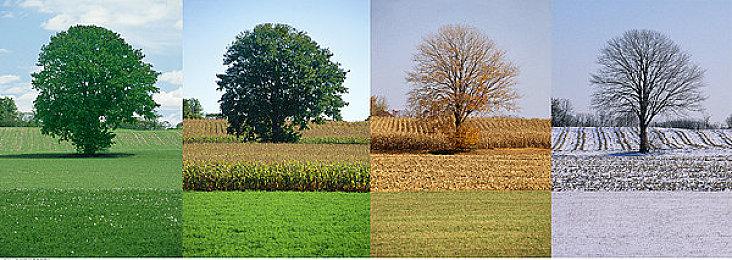 双人合作《合力逃脱》11月12日发售 现已支持试玩